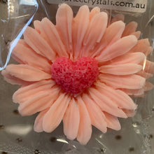 Load image into Gallery viewer, FREE NOVELTY SOY WAX MELT