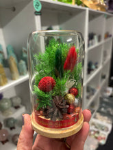 Load image into Gallery viewer, CRYSTAL TERRARIUM SMALL SIZE- CHRISTMAS FLORALS + CARNELIAN CRYSTAL