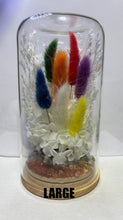 Load image into Gallery viewer, CRYSTAL TERRARIUM - 7 CHAKRA