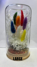 Load image into Gallery viewer, CRYSTAL TERRARIUM - 7 CHAKRA