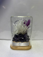 Load image into Gallery viewer, CRYSTAL TERRARIUM - MINI AMETHYST