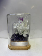 Load image into Gallery viewer, CRYSTAL TERRARIUM - MINI AMETHYST