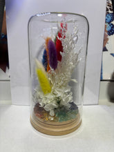 Load image into Gallery viewer, CRYSTAL TERRARIUM - 7 CHAKRA