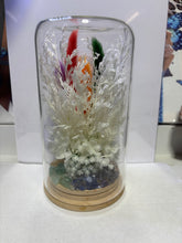 Load image into Gallery viewer, CRYSTAL TERRARIUM - 7 CHAKRA