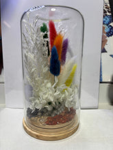 Load image into Gallery viewer, CRYSTAL TERRARIUM - 7 CHAKRA