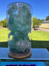 Load image into Gallery viewer, CRYSTAL TERRARIUM LARGE SIZE - PHEONIX STONE + AMAZONITE CRYSTALS