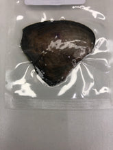 Load image into Gallery viewer, FRESHWATER PEARL SINGLE - (RANDOM COLOUR)