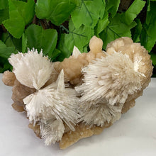 Load image into Gallery viewer, SCOLECITE & STILBITE