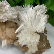 Load image into Gallery viewer, SCOLECITE & STILBITE