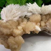 Load image into Gallery viewer, SCOLECITE & STILBITE