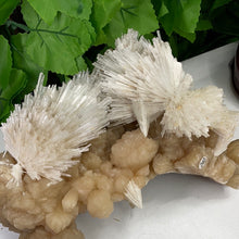 Load image into Gallery viewer, SCOLECITE & STILBITE