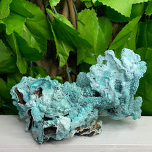 Load image into Gallery viewer, CHRYSOCOLLA PSEDOMORPH
