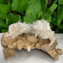 Load image into Gallery viewer, SCOLECITE & STILBITE