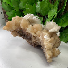 Load image into Gallery viewer, SCOLECITE & STILBITE