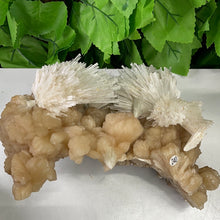 Load image into Gallery viewer, SCOLECITE & STILBITE