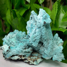 Load image into Gallery viewer, CHRYSOCOLLA PSEDOMORPH
