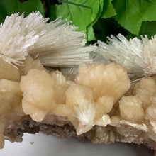 Load image into Gallery viewer, SCOLECITE & STILBITE