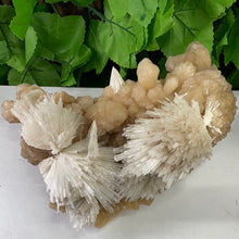 Load image into Gallery viewer, SCOLECITE & STILBITE