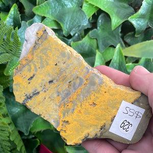 BUMBLEBEE JASPER SLAB