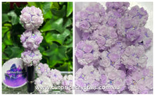 Load image into Gallery viewer, FOR DIY BEADABLE PRODUCTS - 3pcs
