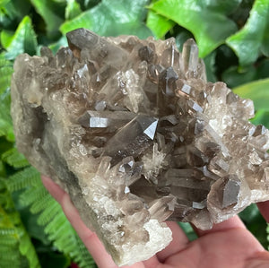 SMOKY QUARTZ CLUSTER