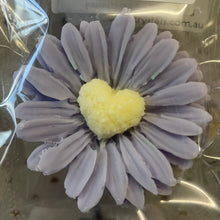 Load image into Gallery viewer, FREE NOVELTY SOY WAX MELT
