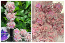 Load image into Gallery viewer, FOR DIY BEADABLE PRODUCTS - 3pcs
