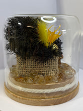 Load image into Gallery viewer, CITRINE &amp; JASPER - CRYSTAL - FLORAL TERRARIUM MEDIUM SIZE
