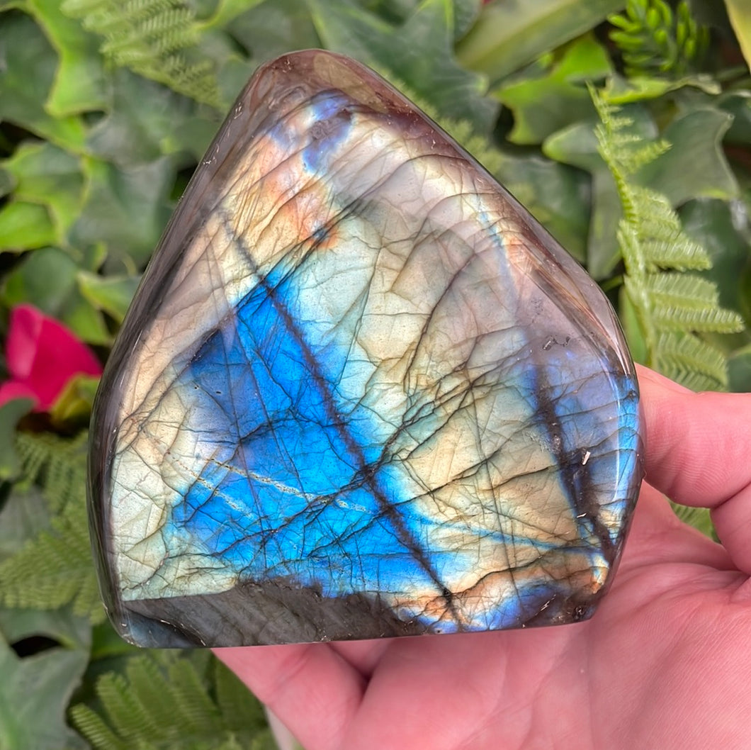 LABRADORITE FREEFORM