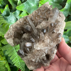 SMOKY QUARTZ CLUSTER