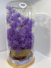 Load image into Gallery viewer, AMETHYST CRYSTAL MOTHERS DAY CRYSTAL FLORAL TERRARIUM LARGE SIZE
