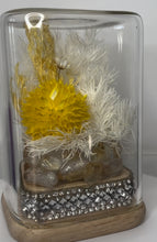 Load image into Gallery viewer, CITRINE CRYSTAL - FLORAL TERRARIUM MINI SIZE
