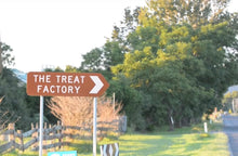 Load image into Gallery viewer, **GAMES DAY TICKET** THE TREAT FACTORY “GUESS WHO?” JULY 5th @2.30pm FREE SHIPPING for all Australian Residents

