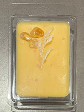 Load image into Gallery viewer, SOY WAX MELTS 📕 BOOK CRAZY GIRL COLLECTION 📕
