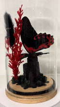 Load image into Gallery viewer, Tourmaline Crystal + Menelaides Deiphobus Rumanzovia (Phillipines) CRYSTAL TERRARIUMS THAT FLY
