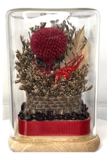 Load image into Gallery viewer, GARNET CRYSTAL - FLORAL TERRARIUM MINI SIZE
