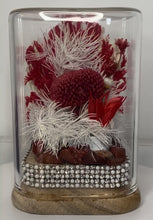 Load image into Gallery viewer, JASPER CRYSTAL - FLORAL TERRARIUM MINI SIZ
