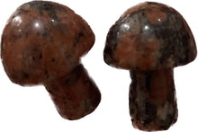Load image into Gallery viewer, MINI MUSHROOMS
