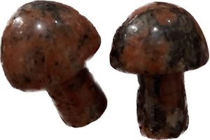 MINI MUSHROOMS