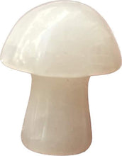 Load image into Gallery viewer, MINI MUSHROOMS
