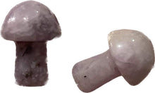 Load image into Gallery viewer, MINI MUSHROOMS
