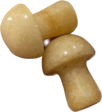 Load image into Gallery viewer, MINI MUSHROOMS
