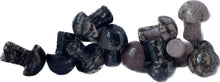 Load image into Gallery viewer, MINI MUSHROOMS
