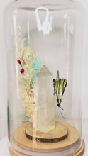 Load and play video in Gallery viewer, Quartz Crystal + Graphium Agetes (Malaysia) - CRYSTAL TERRARIUMS THAT FLY
