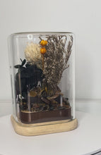 Load and play video in Gallery viewer, TIGER EYE CRYSTAL - FLORAL TERRARIUM MINI SIZE
