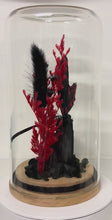 Load and play video in Gallery viewer, Tourmaline Crystal + Menelaides Deiphobus Rumanzovia (Phillipines) CRYSTAL TERRARIUMS THAT FLY
