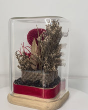Load and play video in Gallery viewer, GARNET CRYSTAL - FLORAL TERRARIUM MINI SIZE
