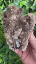 Load and play video in Gallery viewer, SMOKY QUARTZ CLUSTER
