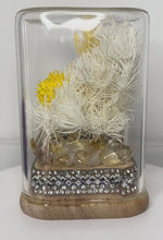 Load and play video in Gallery viewer, CITRINE CRYSTAL - FLORAL TERRARIUM MINI SIZE
