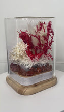 Load and play video in Gallery viewer, CARNELIAN CRYSTAL - FLORAL TERRARIUM MINI SIZE
